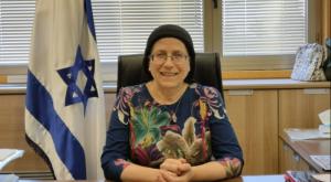 ח"כ אורית סטרוק   צילום: יצחק וויס חדשות