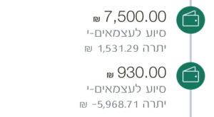 המענקים שקיבלו ח' ורעייתו צילום: באדיבות המצלם כסף