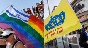 איזה דגל מותר לשאת בצה"ל? צילום: פלאש 90 ביטחון