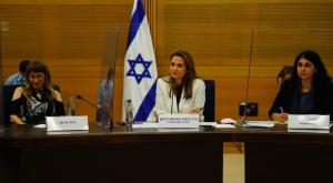 ועדת קורונה צילום: עדינה ולמן, דוברות הכנסת חדשות