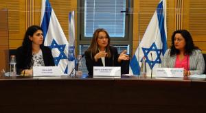 ועדת הקורונה צילום: דוברות הכנסת, עדינה וולמן חדשות