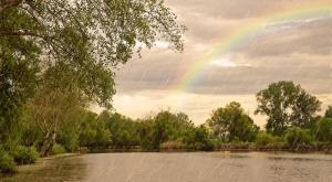 צילום: shutterstock תחזית מזג האוויר
