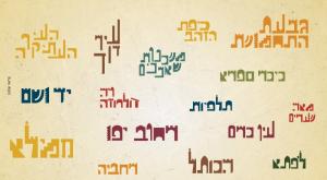  צילום: יח"צ חדשות