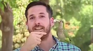 בשידור חי צילום: צילום מסך טלוויזיה