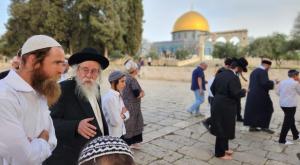יהודים בהר הבית צילום: מינהלת הר הבית חדשות