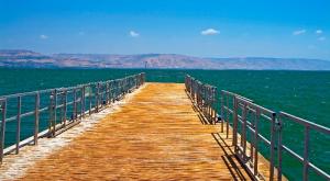  צילום: shutterstock חדשות