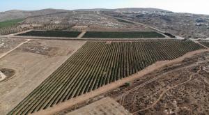 משק אחיה צילום: משק אחיה חדשות
