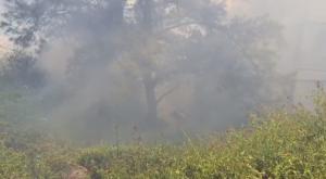 השריפה בשכונת נאווה שאנן, חיפה צילום: דוברות כבאות והצלה מחוז חוף חדשות