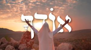  צילום: קובי סלע, תקשורת כהלכה מוזיקה