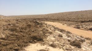 נחל אשלים צילום: המשרד להגנת הסביבה כסף
