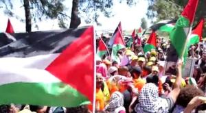דורשים את האדמות שנטשו |  צילום: צילום מסך "הצינור" חדשות