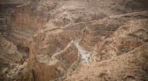 צאלים צילום: Hadas Parush/Flash90 מבזקים