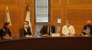 הדיון בוועדה, היום צילום: דוברות הכנסת, שמוליק גרוסמן חדשות
