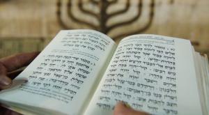  צילום: Mendy Hechtman/Flash90 כדאי לדעת