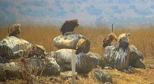  צילום: דוברות רט"ג חדשות