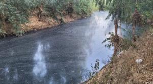 הנחל המזוהם |  צילום: ד"ר יריב מליחי חדשות