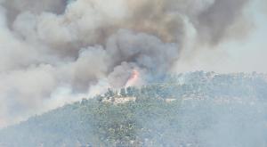 שריפה, ארכיון צילום: אריאל קדם, רשות הטבע והגנים חדשות