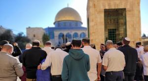 הר הבית, ארכיון צילום: מנהלת הר הבית חדשות