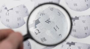 ויקיפדיה  צילום: shutterstock חדשות