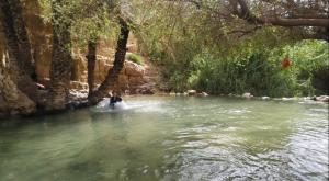 עוג'א צילום: רז צדק טיולים