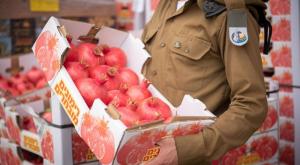 חגי תשרי בצה"ל צילום: דובר צה"ל ביטחון