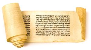  צילום: shutterstock פורים