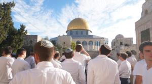 שיא חנוכה בהר הבית צילום: מנהלת הר הבית חדשות
