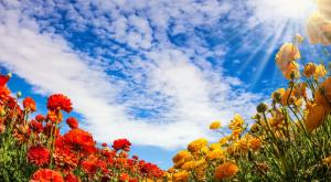  צילום: shutterstock תחזית מזג האוויר
