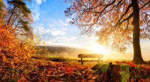  צילום: shutterstock תחזית מזג האוויר
