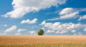  צילום: shutterstock תחזית מזג האוויר