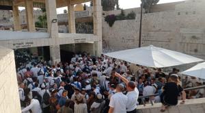 יהודים ממתינים לעלות הבוקר להר הבית צילום: ארגון בידינו חדשות