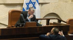 לוין צילום: Olivier Fitoussi/Flash90 פוליטי