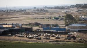 הפזורה הבדואית, ארכיון צילום: Nati Shohat/Flash90 חדשות