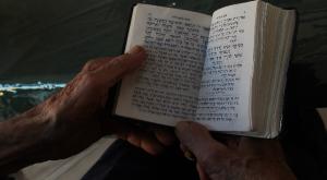 מתוך התערוכה צילום: הודיה הלר תרבות