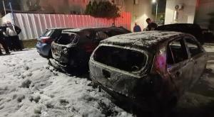 הרכבים שהוצתו בשבוע שעבר צילום: תיעוד מבצעי כיבוי והצלה חדשות