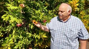 חיים פרייליכמן, "חסרים מנהלים טובים במשק" צילום: חדשות כיפה כסף