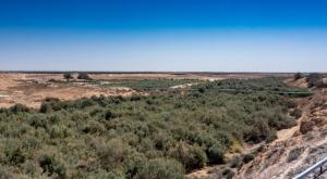 נחל הבשור, זהירות מיתושים צילום: ענבר טל חדשות