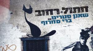 "חתול רחוב" צילום: אודי קסלסי מוזיקה