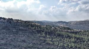היישוב דולב, בחרו רב צילום: אלעד הומינר  חדשות