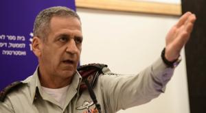 כוכבי, טיפס על עץ גבוה מדי צילום: Tomer Neuberg/Flash90 דעות