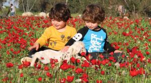בואו לדרום אדום ותעברו בשדרות צילום: עיריית שדרות כדאי לדעת
