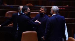 שמחה במליאה לאחר אישור החוק צילום: דוברות הכנסת - עדינה ולמן חדשות