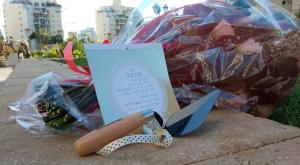  צילום: ללא חדשות
