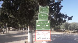  צילום: אליסף מדריך בידינו- הקרן למורשת הר הבית חדשות