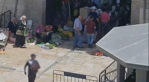  צילום: צילומסך  ברנז'ה