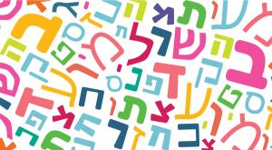  צילום: shutterstock חדשות