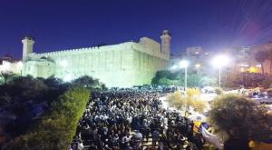  צילום: ללא כדאי לדעת