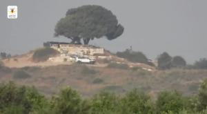  צילום: ללא חדשות