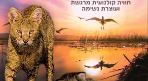 הסרט החדש של משה אלפרט צילום: משה אלפרט סרטים
