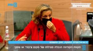 אלרעי פרייס בדיון בכנסת צילום: ערוץ כנסת חדשות